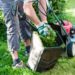 Landscaping Adds Value to Your Property